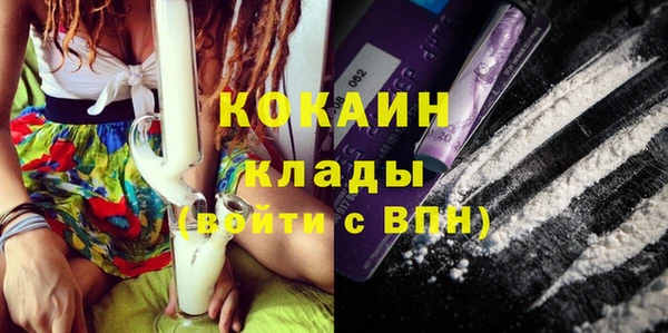 мяу мяу мука Аркадак
