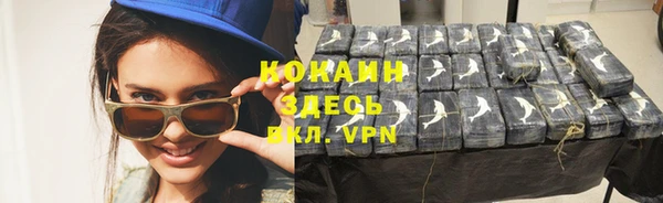мяу мяу мука Аркадак