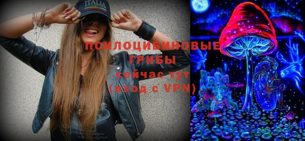 ПСИЛОЦИБИНОВЫЕ ГРИБЫ Арсеньев