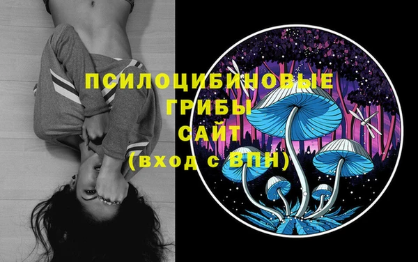 ПСИЛОЦИБИНОВЫЕ ГРИБЫ Арсеньев