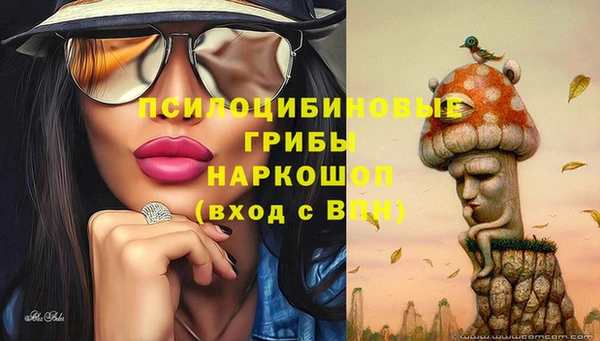 мяу мяу мука Аркадак