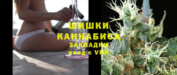 ПСИЛОЦИБИНОВЫЕ ГРИБЫ Арсеньев
