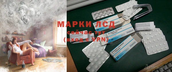 ПСИЛОЦИБИНОВЫЕ ГРИБЫ Арсеньев