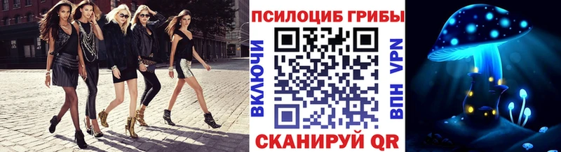 купить закладку  Фролово  Псилоцибиновые грибы мухоморы 